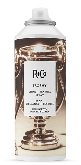 R+Co Trophy Shine + Texture